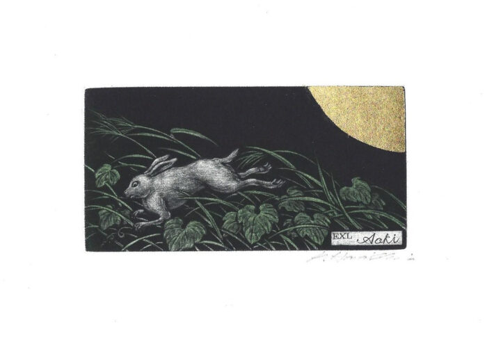 #466 Rabbit