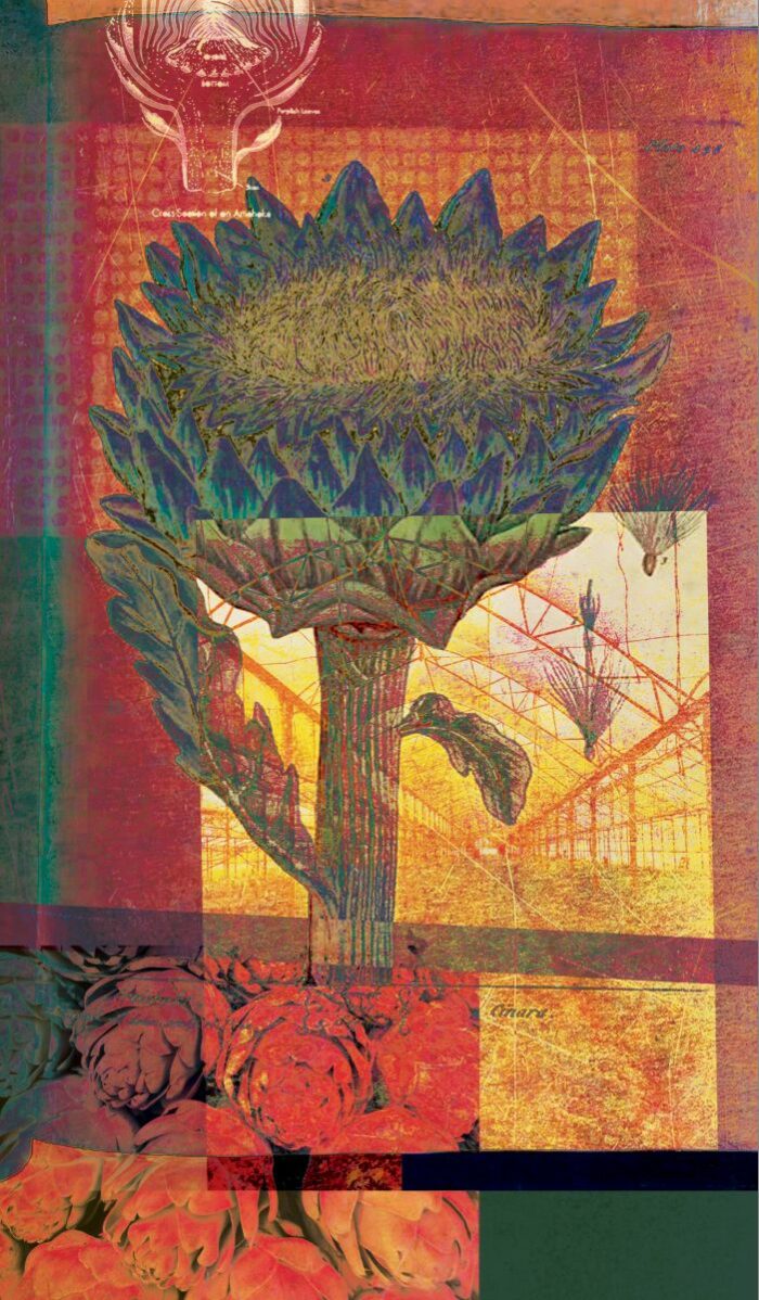 Dee Etzwiler - Layered