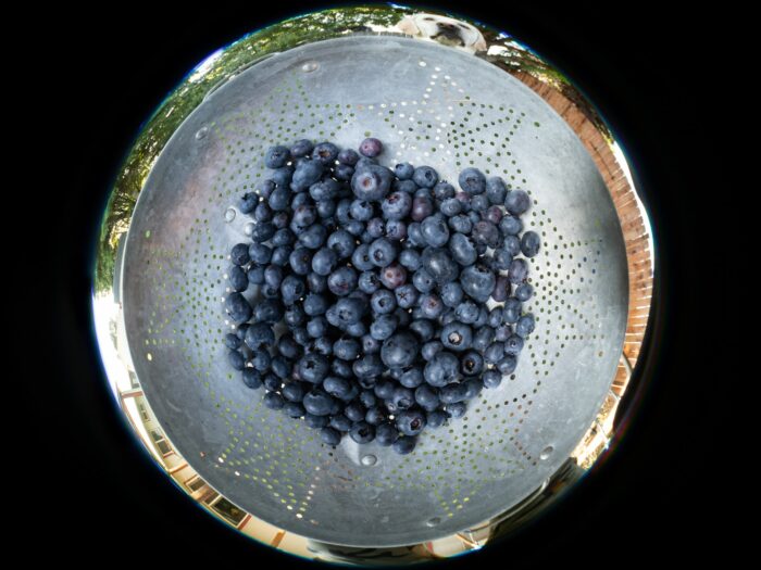 Paul Furnari - Blueberry Pie-Soon - Image 2