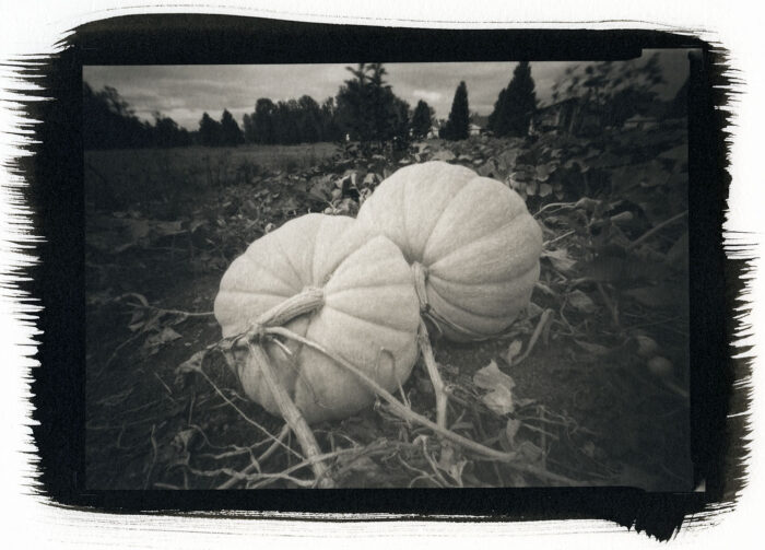 Rich Bergeman - Pumpkin Patch