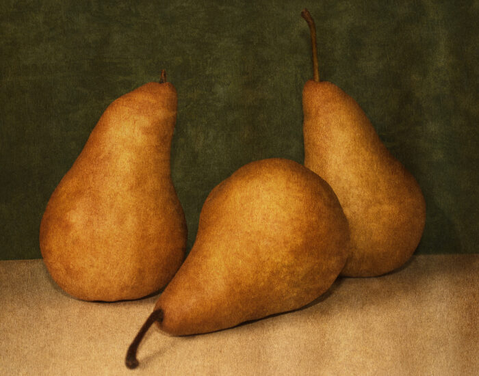 Roka Walsh - Just Picked