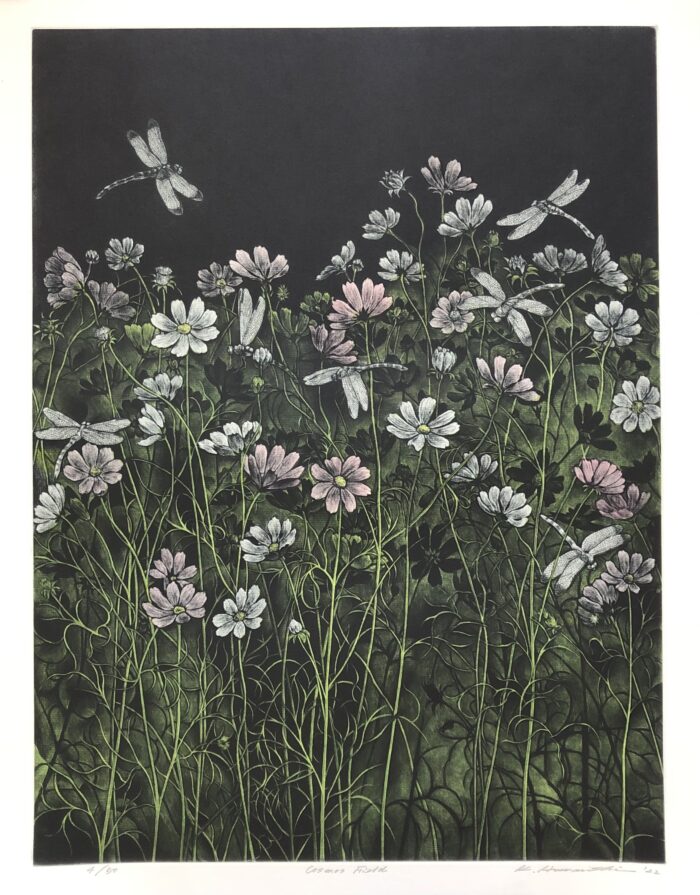 Cosmos Field