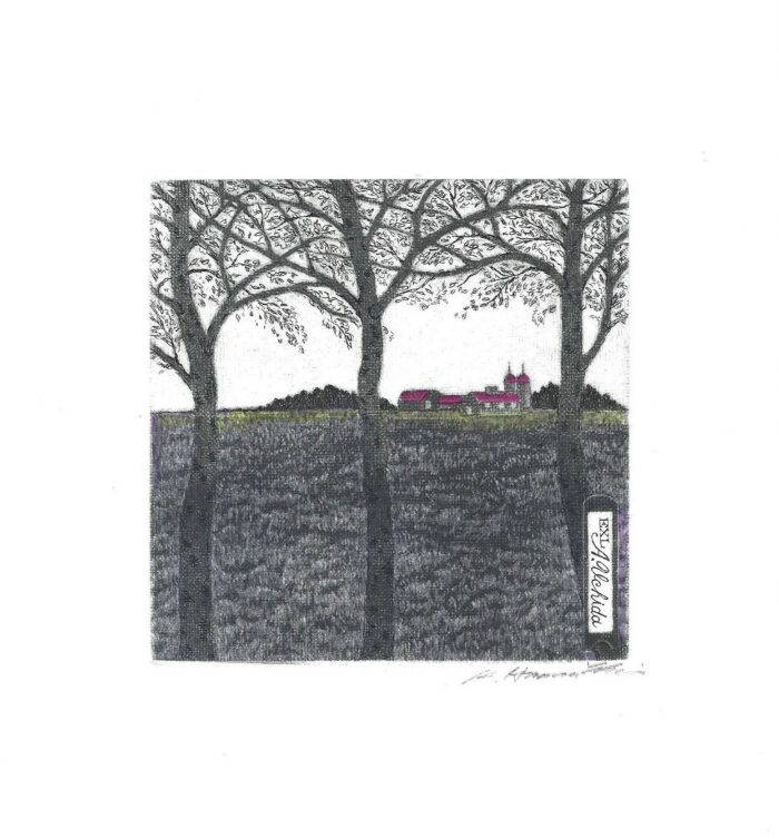#473 Lavender Field