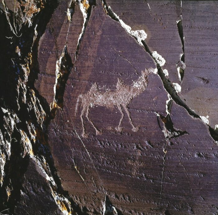 Camel Petroglyph, Chaganka