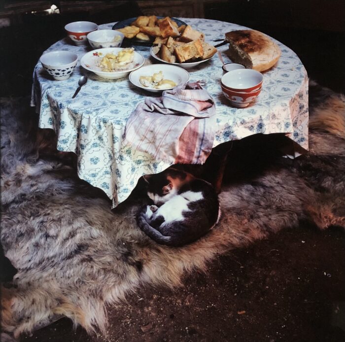 Ger Interior With Cat, Barburgazy