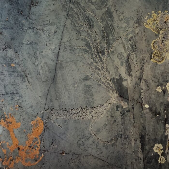 Mythic Deer Petroglyph, Har Salaa