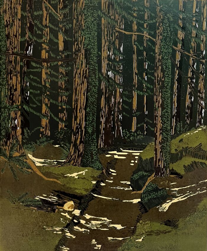 Oregon Forest Trail