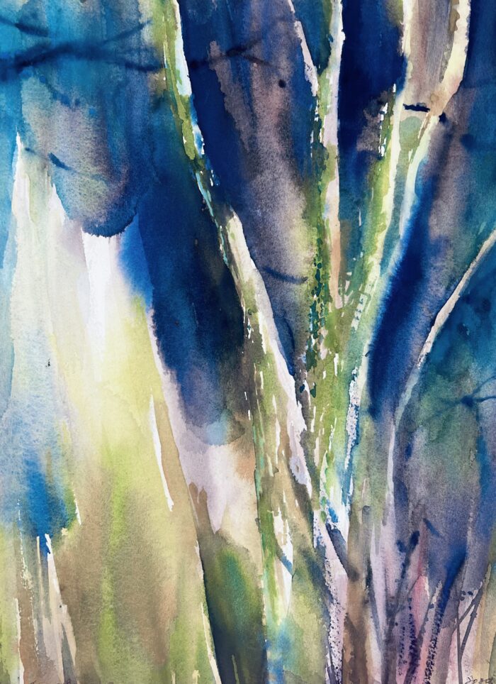 Satoko Motouji - Magical Light in the Forest