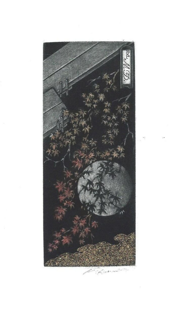 #491 Autumn Garden