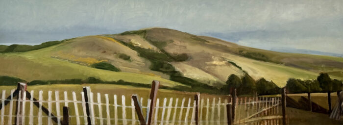 Broken Fence - West Marin