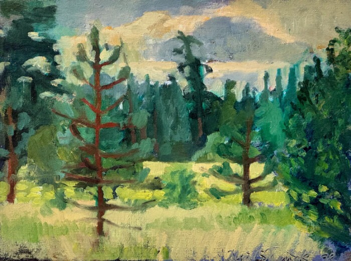 Spring Creek - Meadow