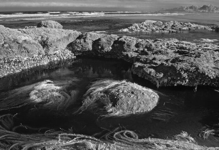 Rich Bergeman - Tide Pool, Yachats Bay