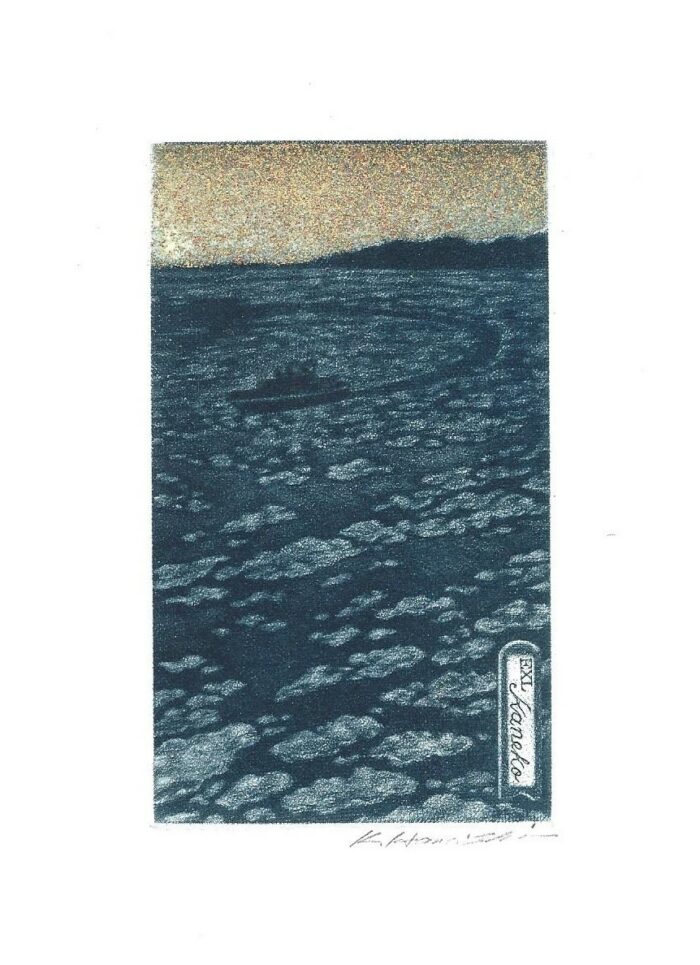 #501 Drift Ice