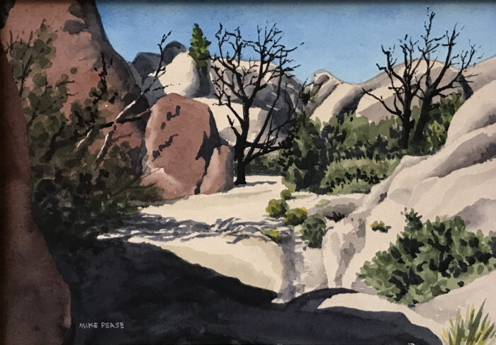 Joshua Tree National Park