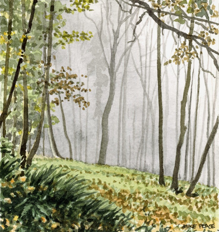 Morning Woods, Eugene