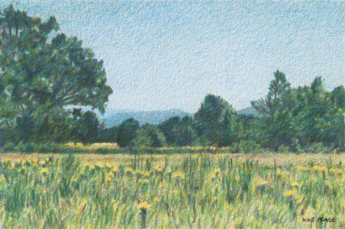 Willamette Valley