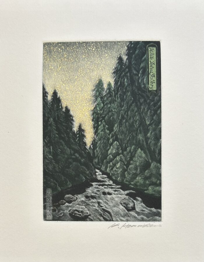 #486 Oregon Forest