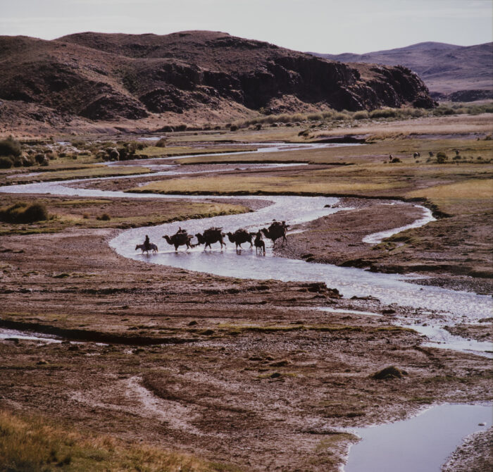 Gary Tepfer - Camel Caravan, Tell River