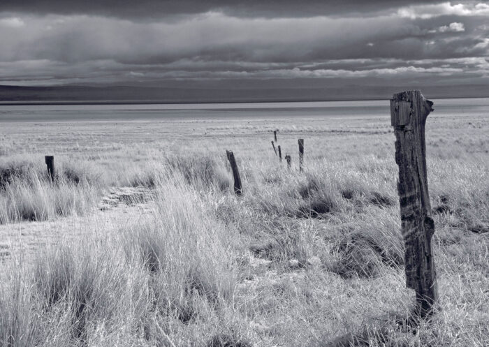 Rich Bergeman - Path to the Playa, Summer Lake