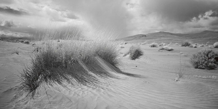 Rich Bergeman - Alkali Lake Dunes