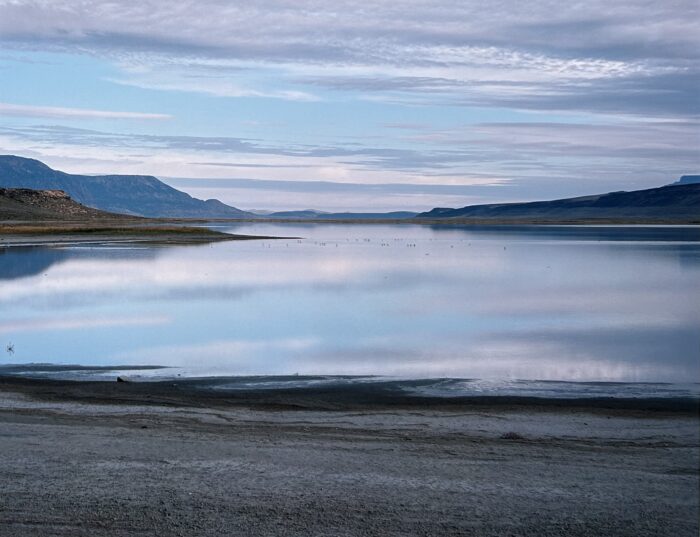 Gary Tepfer - Early Morning, Greaser Lake, Warner Valley
