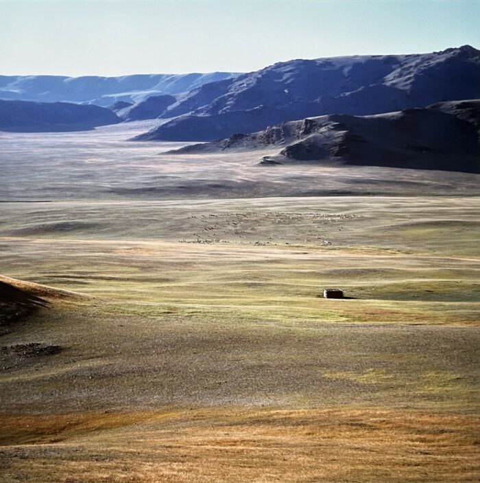 Gary Tepfer - Grasslands, Tsagaan Asgat