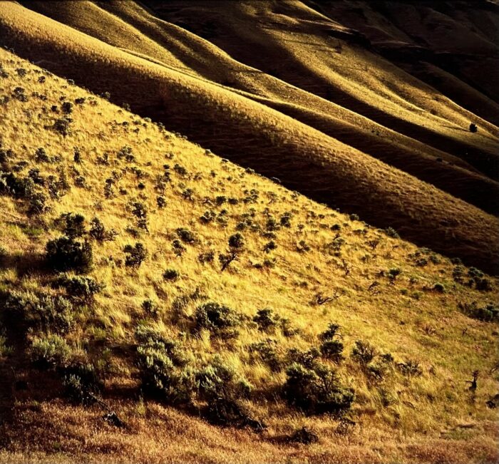 Gary Tepfer - Grasslands, John Day River