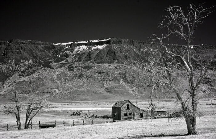 Rich Bergeman - Homestead Under Hart Mountain