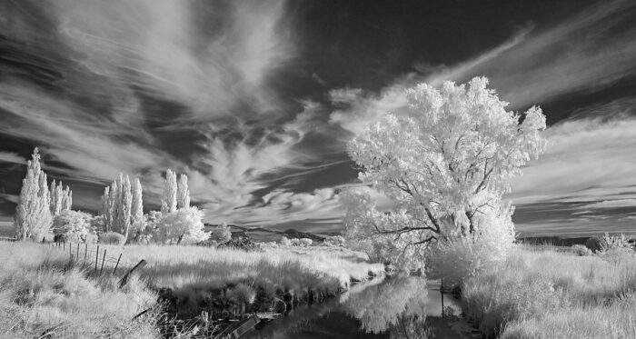 Rich Bergeman - Lower Ana River
