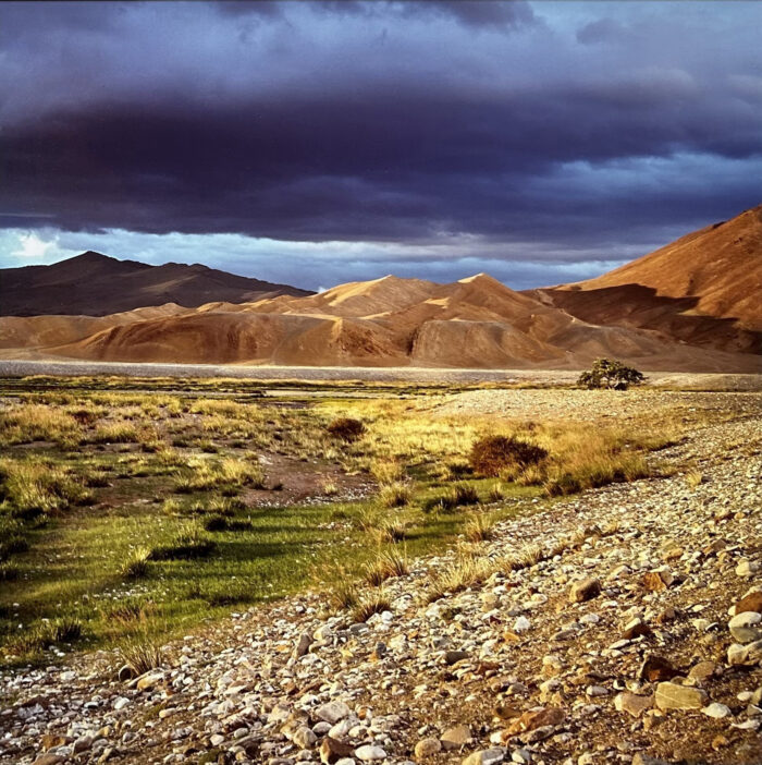 Gary Tepfer - Steppe, Sagsay Valley
