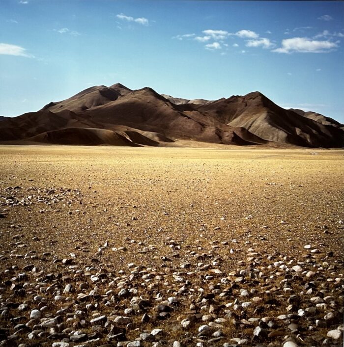 Gary Tepfer - Stone Steppe, Sagsay Valley