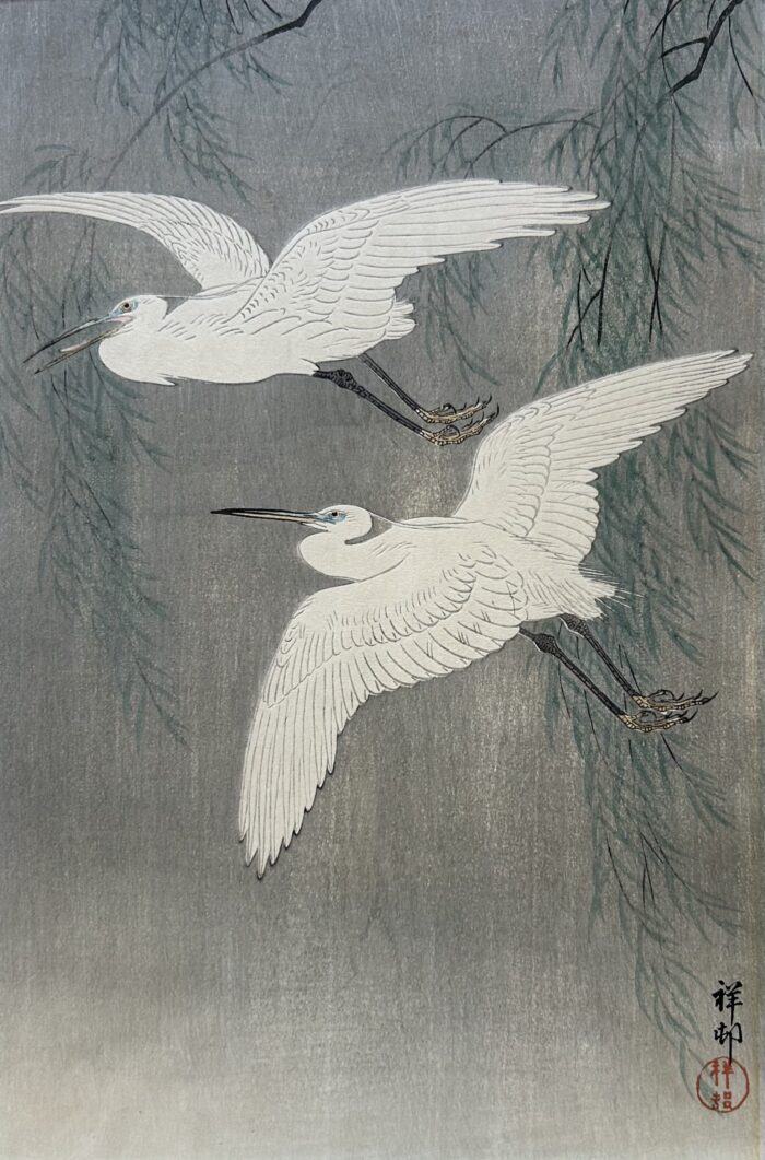 Ohara Shoson: Snowy Egrets